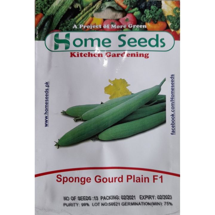 Seeds- Sponge gourd Plain F1 Hybrid
