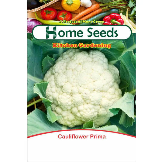 Seeds- Cauliflower Prima F1