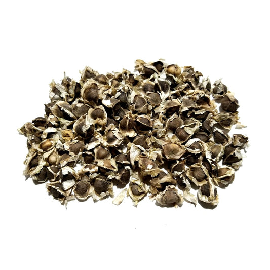 Pack of 10 Moringa Seeds Sohanjna Tree Seeds Plant Flower