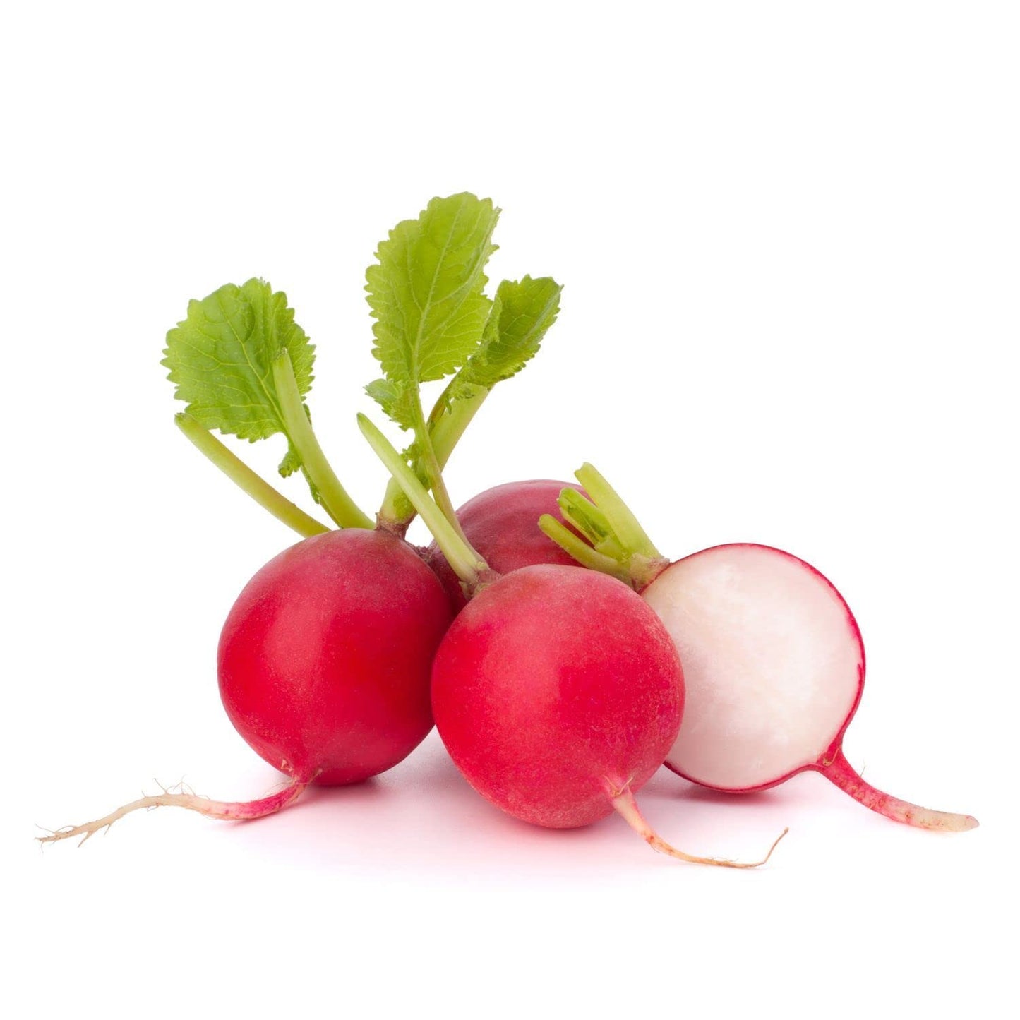 Red Round Radish (Hybrid)
