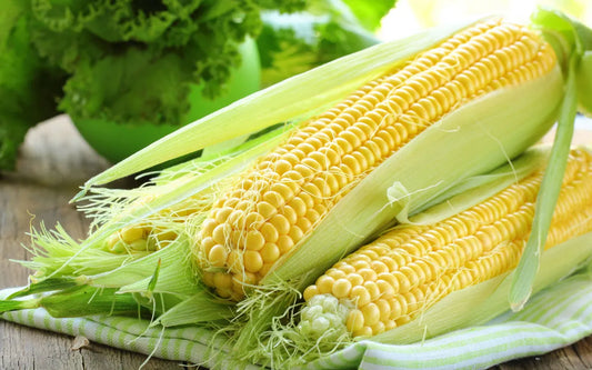 Sweet Corn F1 Hybrid – High-Yield, Juicy Winter Crop (10 seeds)