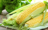 Sweet Corn F1 Hybrid – High-Yield, Juicy Winter Crop (10 seeds)
