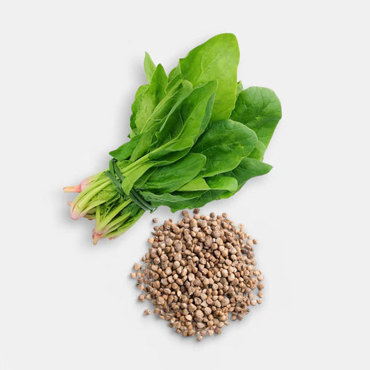 Seeds- Spinach