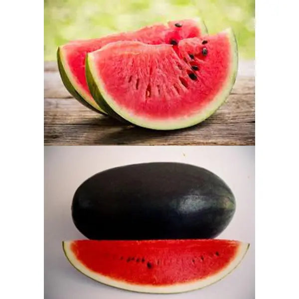 Water Melon (Tarbooz) – 50 Plus Seeds By More Green