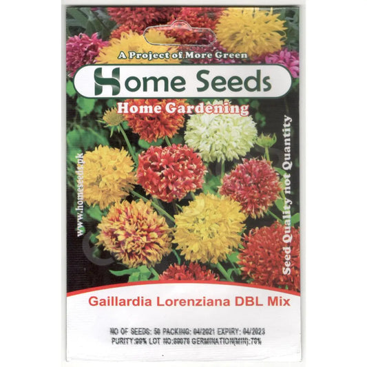 Seeds- Gaillardia Lorenziana F1