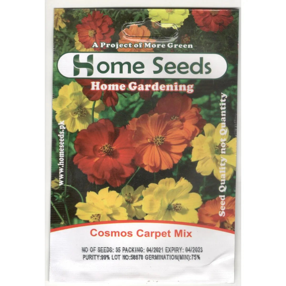 Seeds- Cosmos Carpet Mix F1