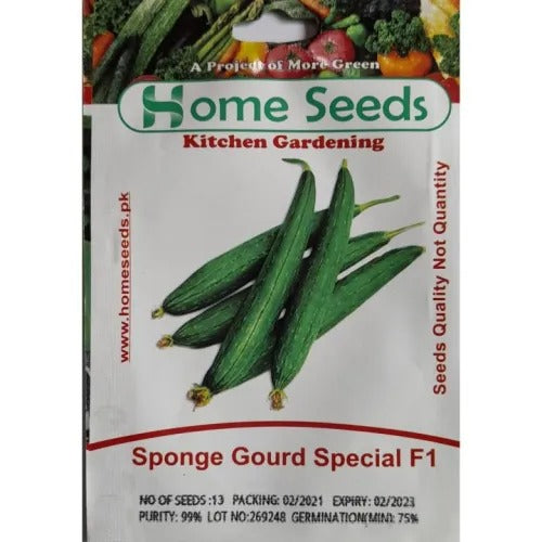 Seeds – Sponge gourd Special F1 Hybrid