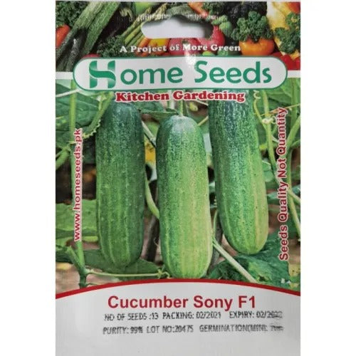 Seeds- Cucumber Sony F1 Hybrid
