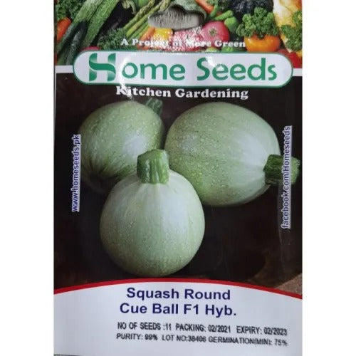 Seeds- Squash Round F1 Hybrid