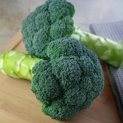 Broccoli F1 Hybrid – Nutrient-Rich, Compact Winter Crop