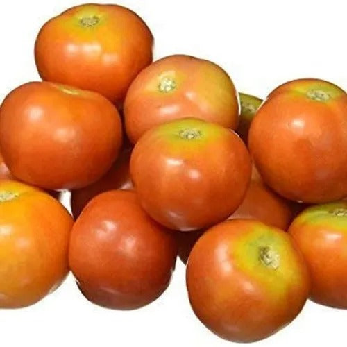 Desi Tomato OP – Traditional Pakistani Heirloom for Home Gardens